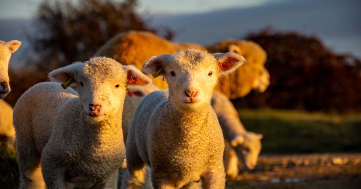 10 best things to do in Gloucestershire in February 2025