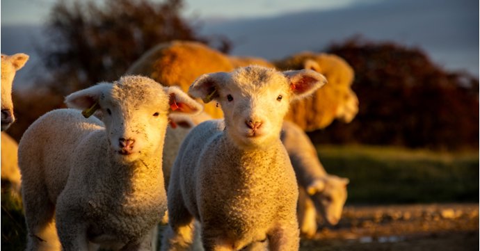 10 best things to do in Gloucestershire in February 2025