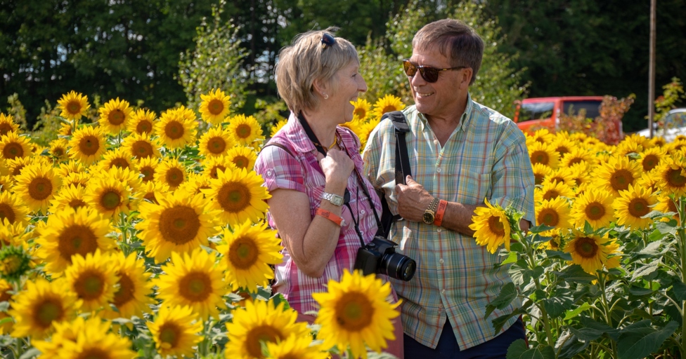 10 unmissable things to do in Gloucestershire this August 2023 - Vimarsana News