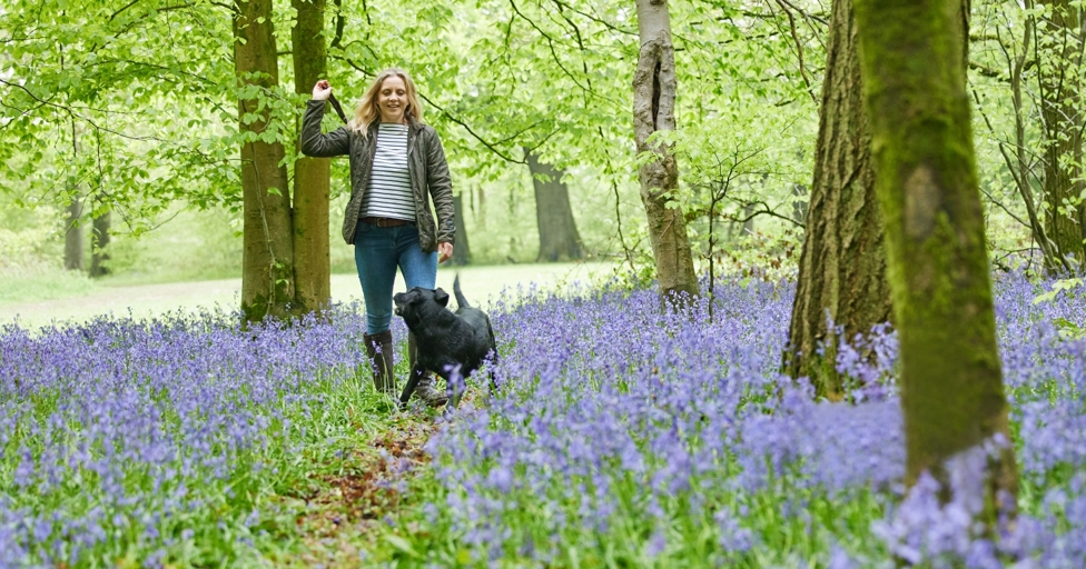 10 unmissable things to do in Gloucestershire this May 2023 - Vimarsana News