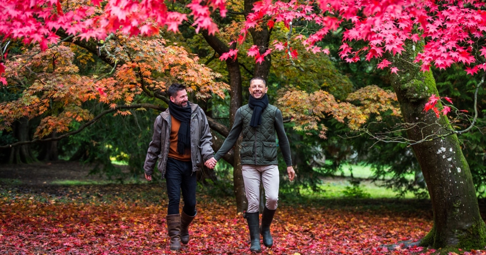 10 unmissable things to do in Gloucestershire this October 2023 - Vimarsana News
