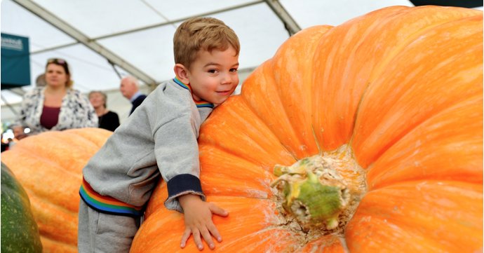 10 best things to do in Gloucestershire in September 2025