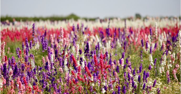 10 best things to do in Gloucestershire in July 2025