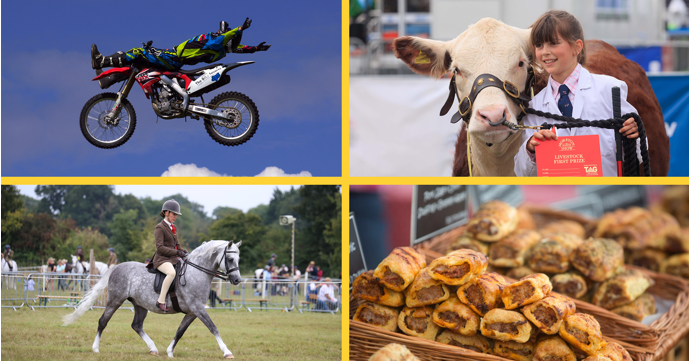 10 really great reasons to grab tickets for Moreton Show this year