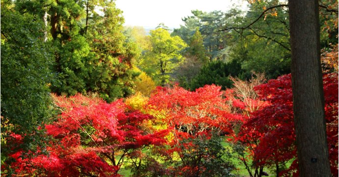 9 best places to see stunning autumn colour in Gloucestershire
