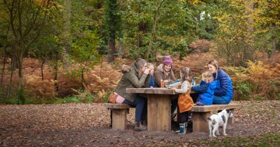 Family having a picnic in the Forest of Dean