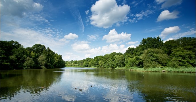 Forestry England is considering rewilding Cannop Ponds