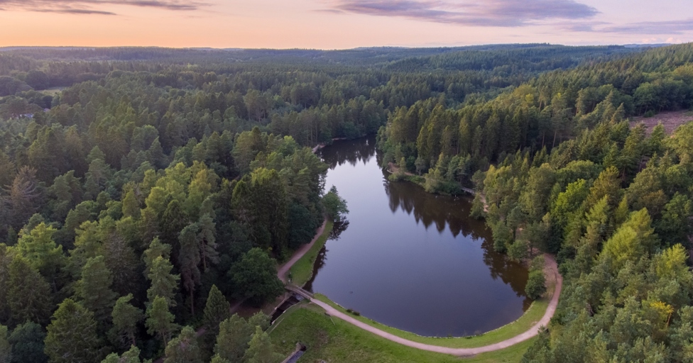 10 magical places to visit in the Forest of Dean - Vimarsana News