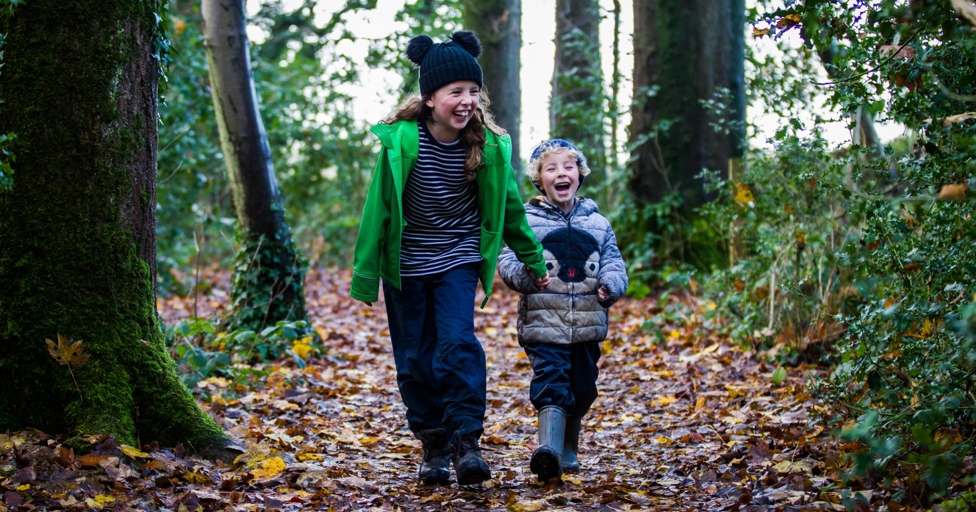 Meet the CEO of Friends of Westonbirt Arboretum helping to preserve the Gloucestershire attraction for future generations - Vimarsana News