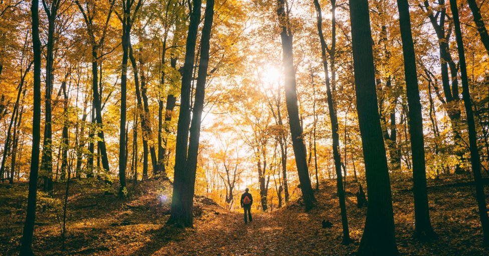 Gloucestershire destinations named in top 30 for prettiest autumn walks in the UK - Vimarsana News
