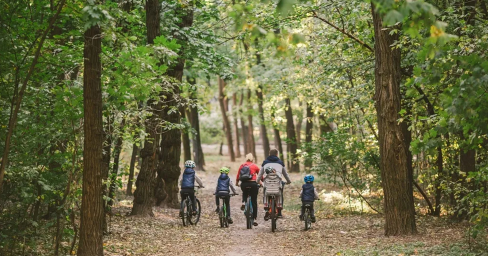 Here's how you can cycle through Cirencester Park for one day only - Vimarsana News