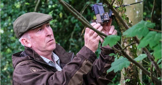 How Westonbirt Arboretum protects and attracts new animal life in the Cotswolds