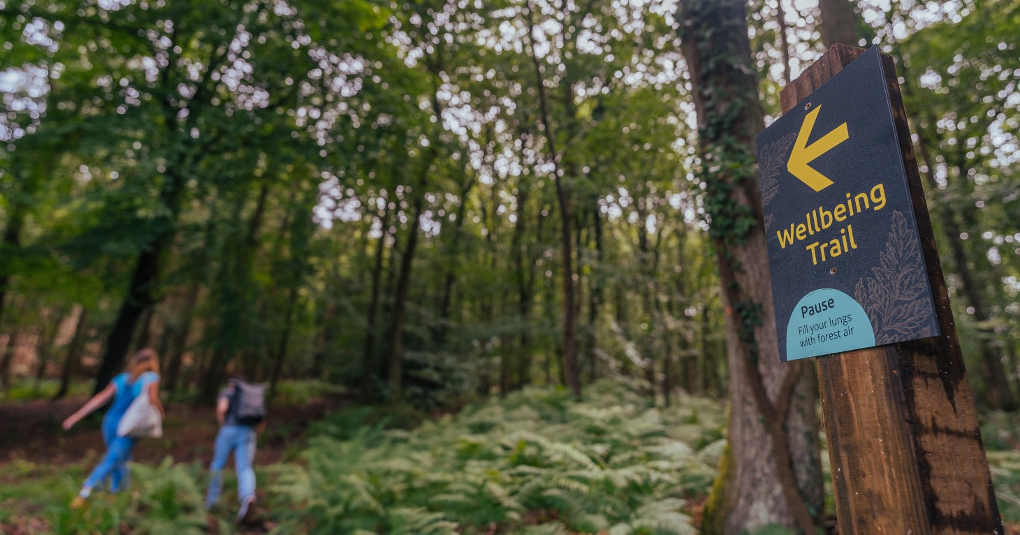 New woodland wellbeing trail launches at Symonds Yat