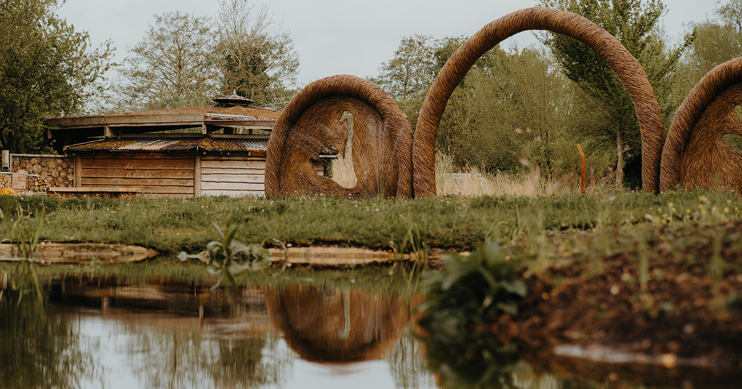 'It's conservation in action' – WWT Slimbridge's grounds manager on creating emotional connection through landscape