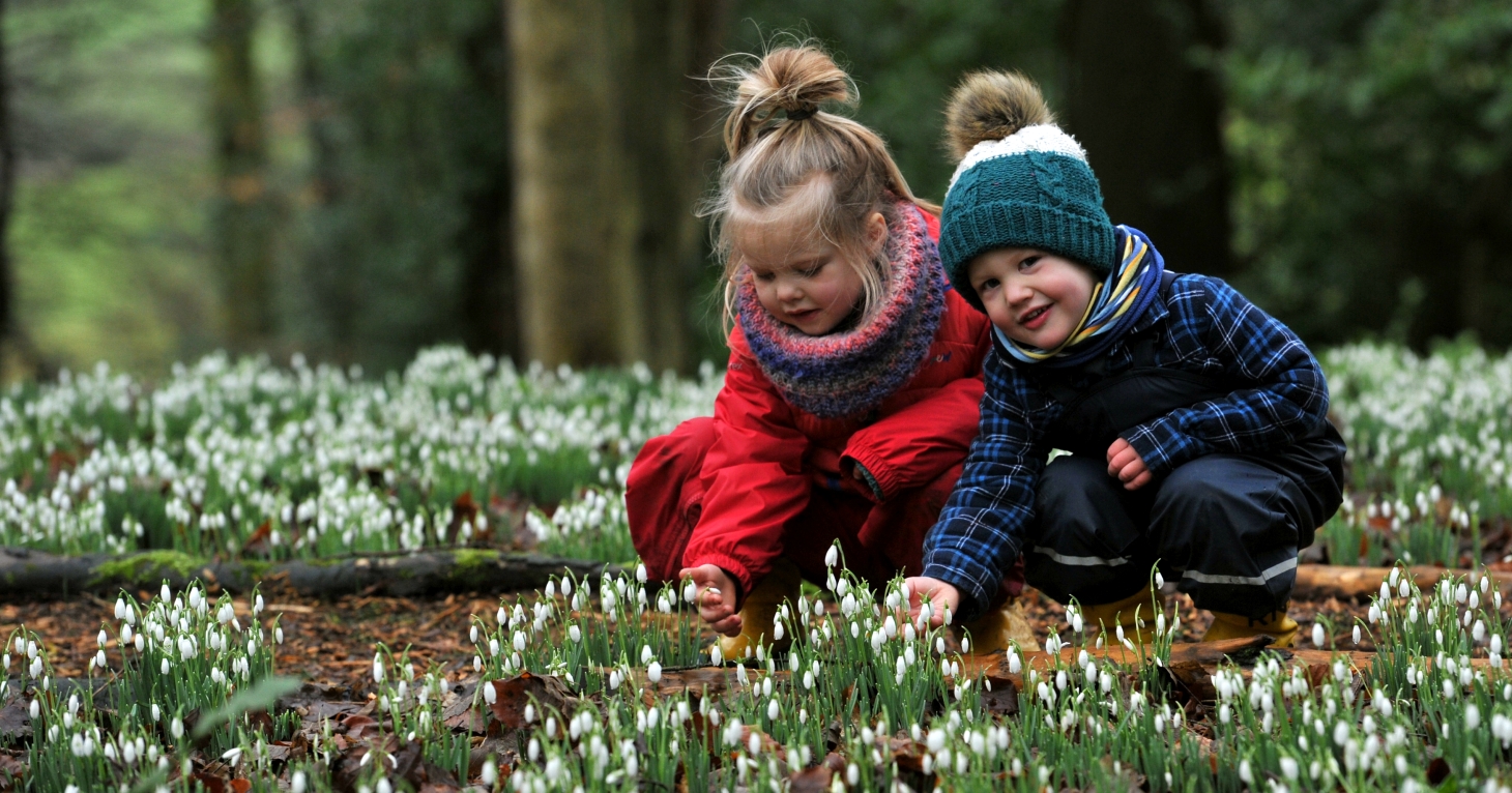 When to see the famous snowdrops at Painswick Rococo Garden