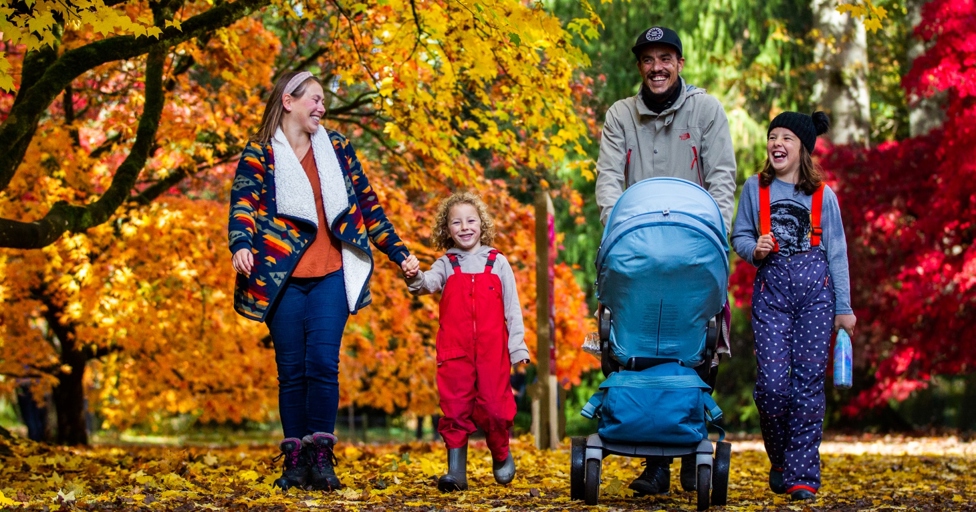Westonbirt Arboretum unveils new autumn trails to encourage wellbeing through creativity - Vimarsana News