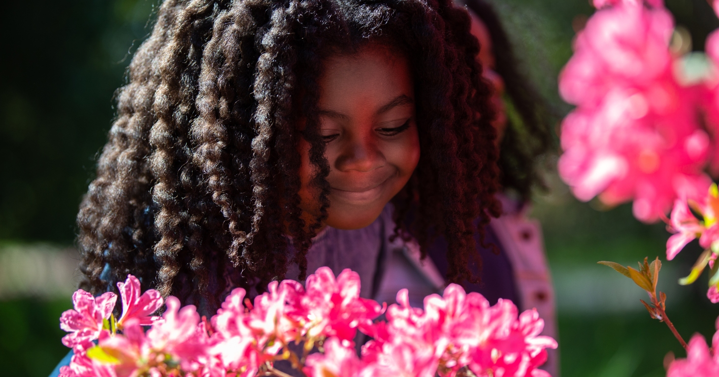 Best Kept Secrets family spring trail at Westonbirt Arboretum