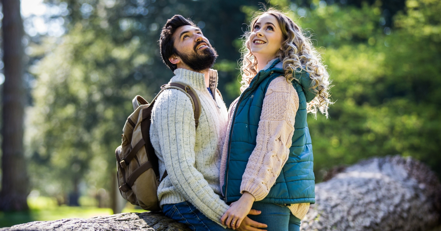 The Birds and The Bees... and Trees trail at Westonbirt Arboretum