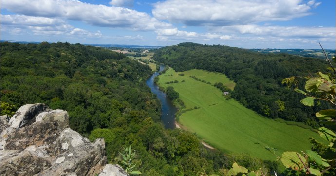 10 top reasons to move to the Forest of Dean