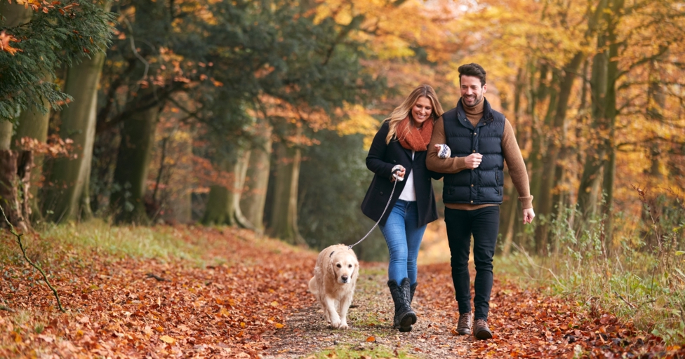 The perfect dog-friendly weekend in the Cotswolds - Vimarsana News