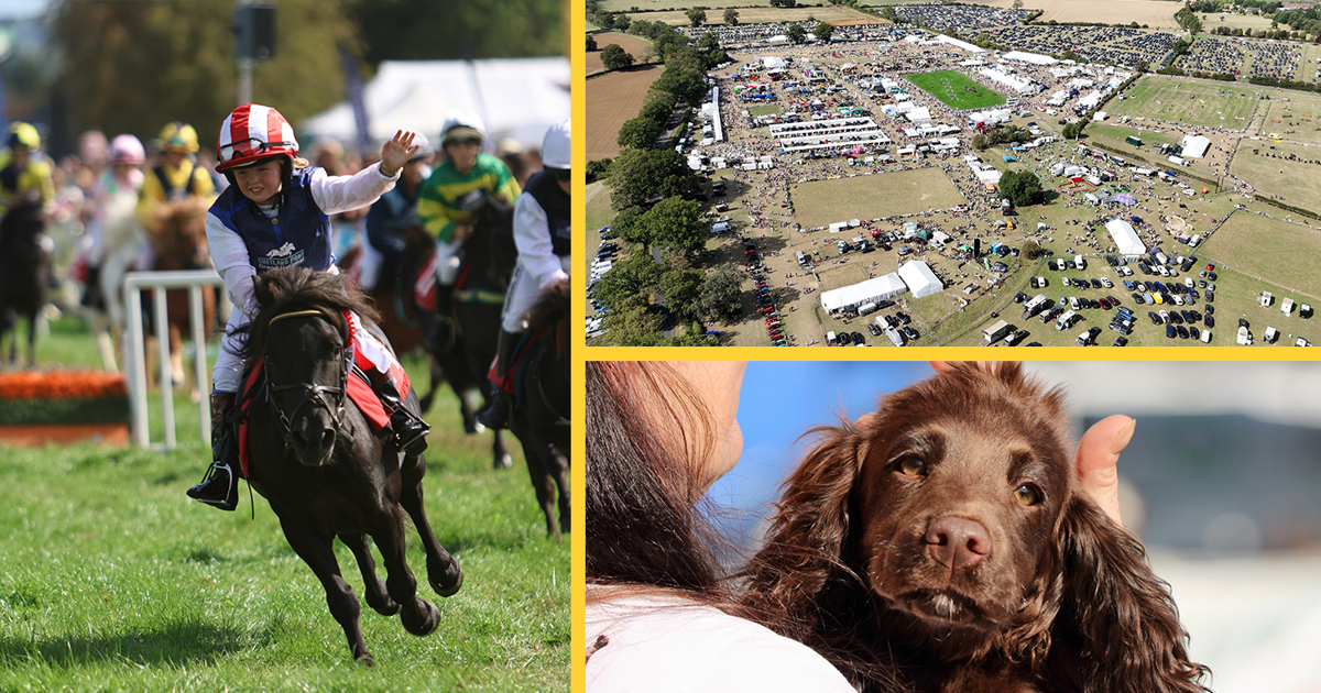 Cotswolds countryside celebration will return in 2027 following this year's 'roaring success'